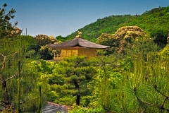 Kinkauji (Golden Pavilion), Kyoto