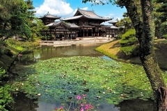 Byodoin Hoodu, Uji City