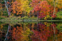 Mount Desert Island, Fall